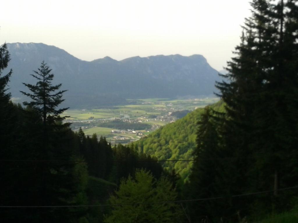 Appartement Gwiggner Niederau Esterno foto