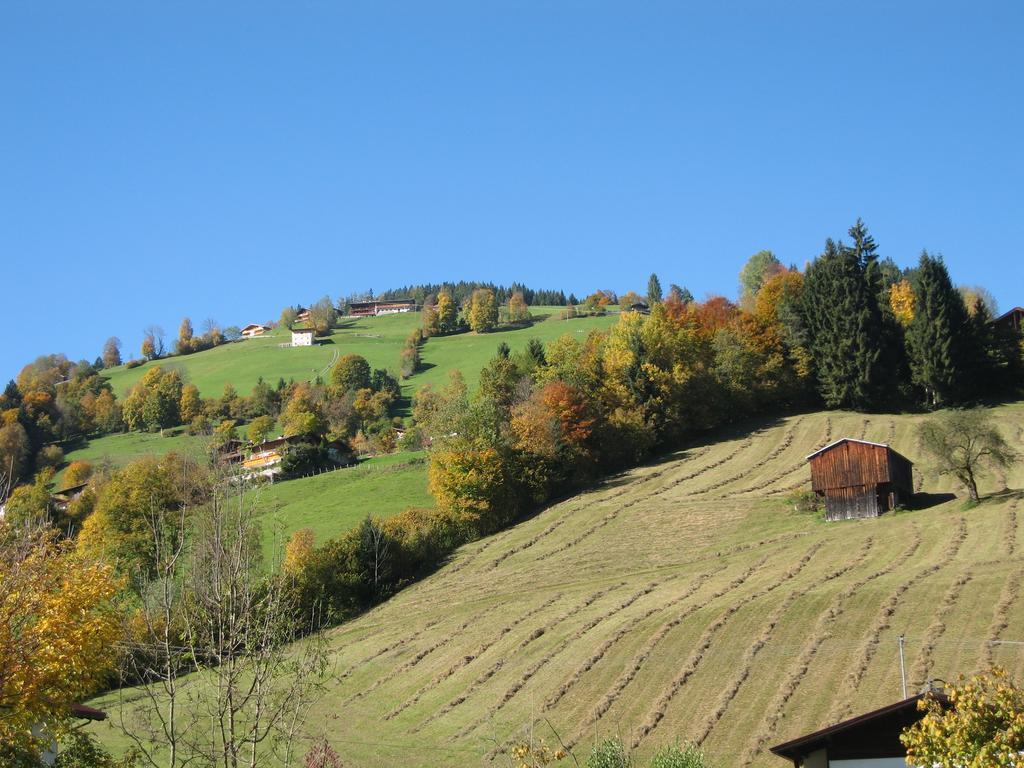Appartement Gwiggner Niederau Esterno foto