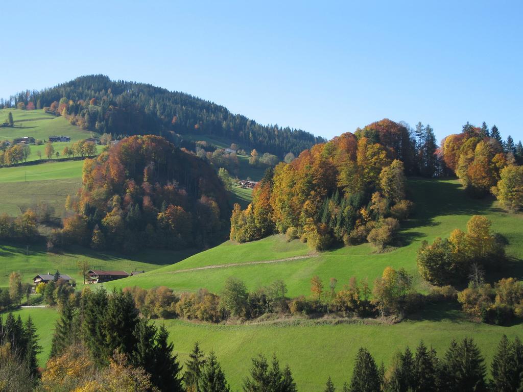 Appartement Gwiggner Niederau Esterno foto