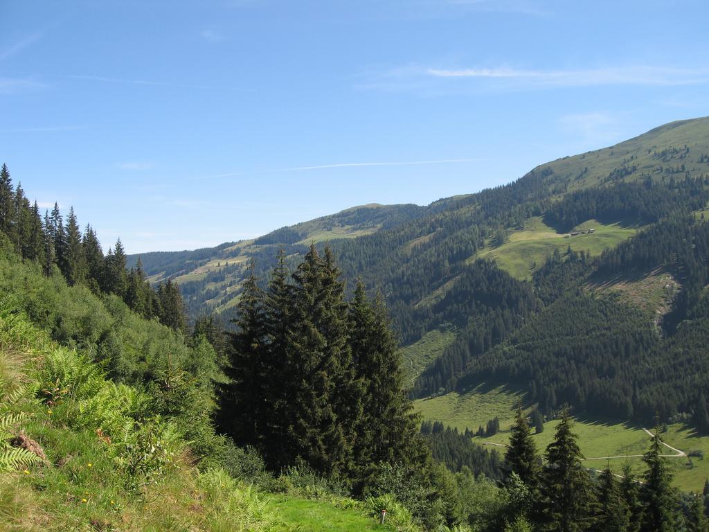 Appartement Gwiggner Niederau Esterno foto