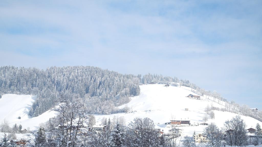 Appartement Gwiggner Niederau Esterno foto